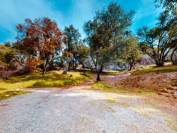 Yosemite Area Home 1029068