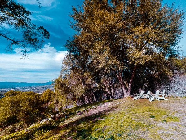Yosemite Area Home 1029068