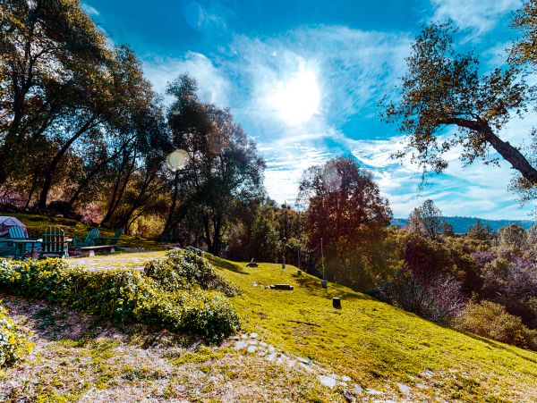 Yosemite Area Home 1029068