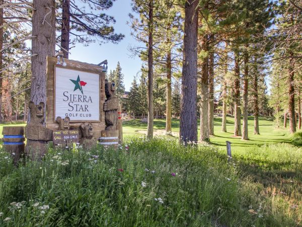 Yosemite Area Home 1029071