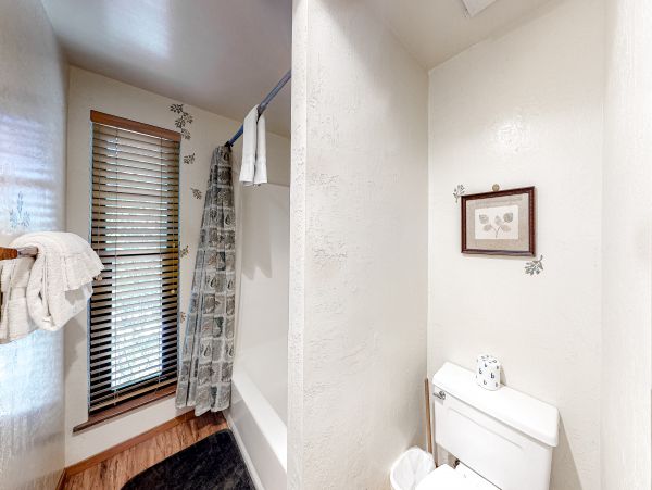 Yosemite Area Home 1029074