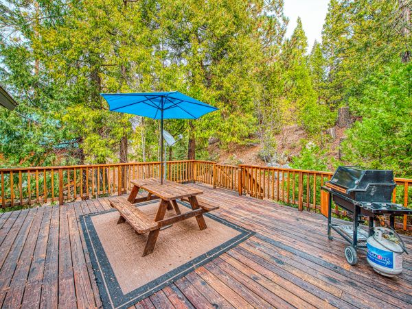 Yosemite Area Home 1029075