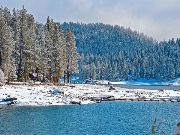 Yosemite Area Home 1029075