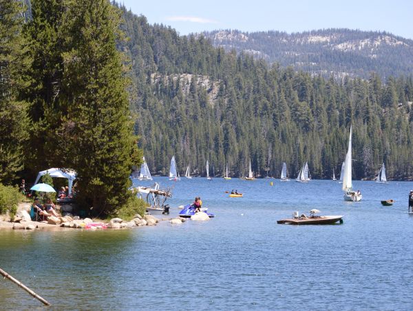 Yosemite Area Home 1029077