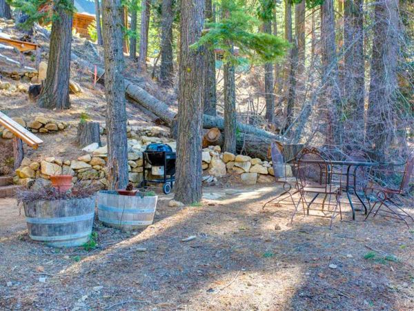 Yosemite Area Home 1029080