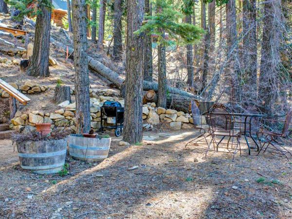 Yosemite Area Home 1029082