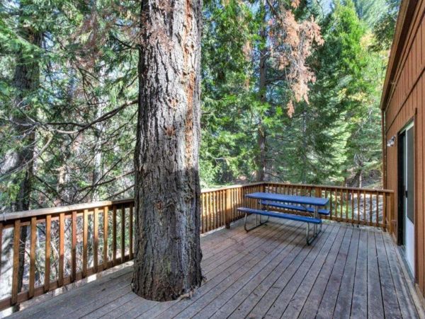 Yosemite Area Home 1029085