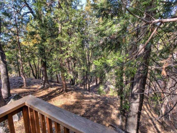 Yosemite Area Home 1029085