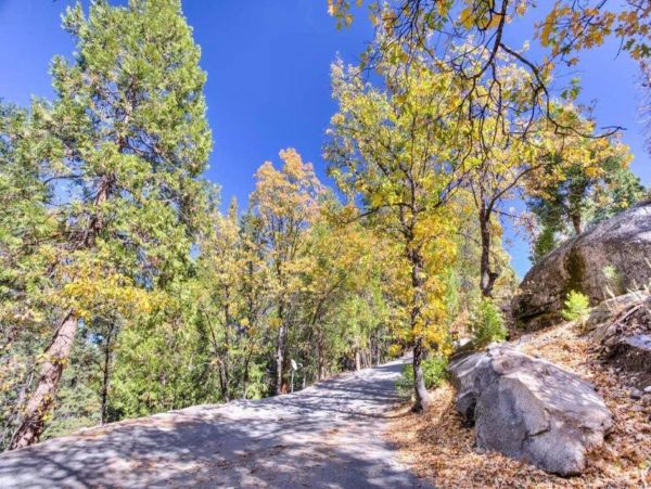 Yosemite Area Home 1029085