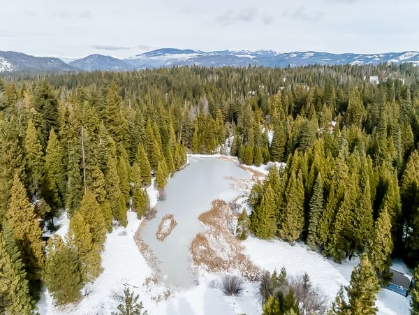 Yosemite Area Home 1029089