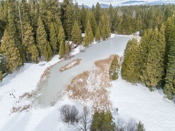 Yosemite Area Home 1029089