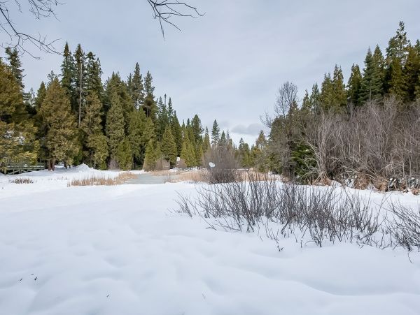 Yosemite Area Home 1029089