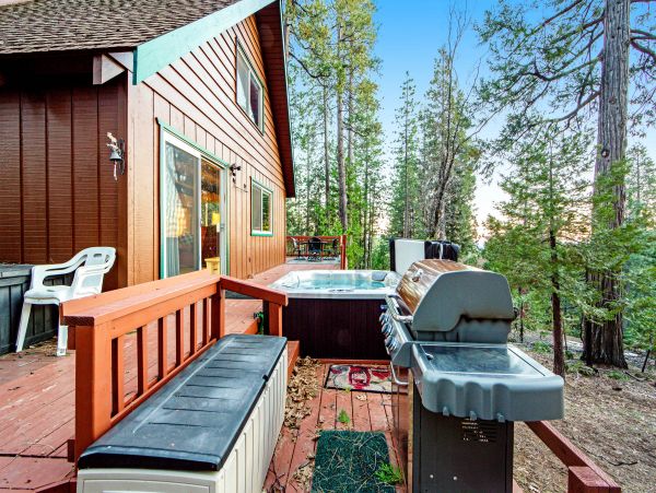 Yosemite Area Home 1029092