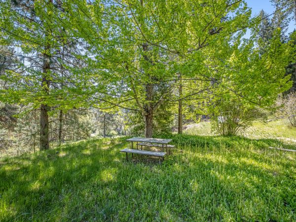 Yosemite Area Home 1029095