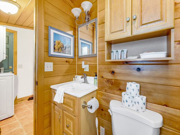 Yosemite Area Home 1029095