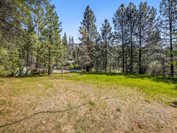 Yosemite Area Home 1029095