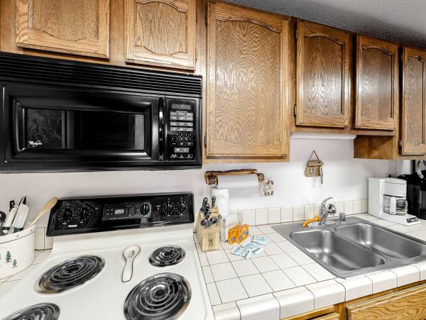 Yosemite Area Home 1029101