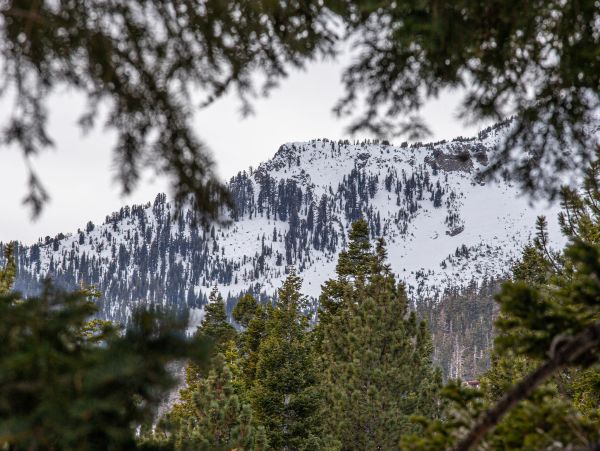 Yosemite Area Home 1029101
