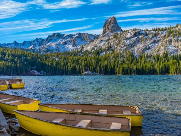 Yosemite Area Home 1029102