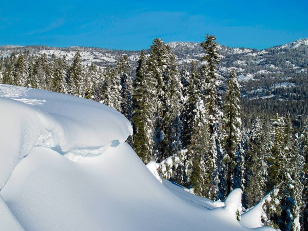 Yosemite Area Home 1029102