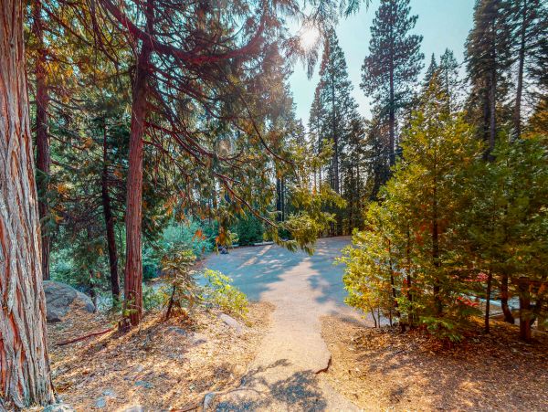 Yosemite Area Home 1029103