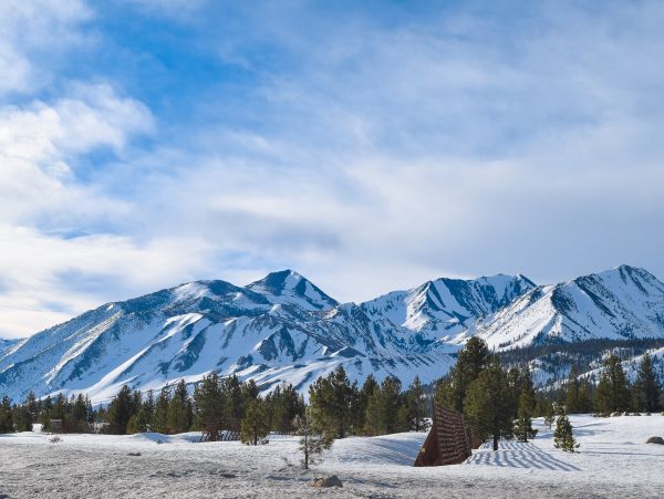 Yosemite Area Home 1029110