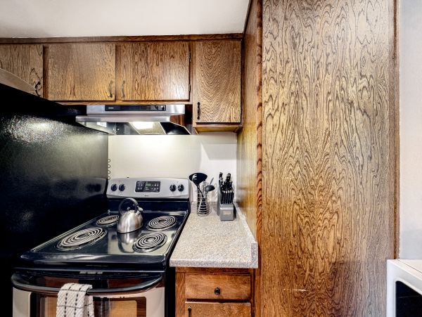 Yosemite Area Home 1029111