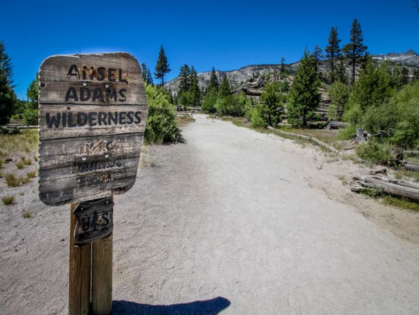 Yosemite Area Home 1029111