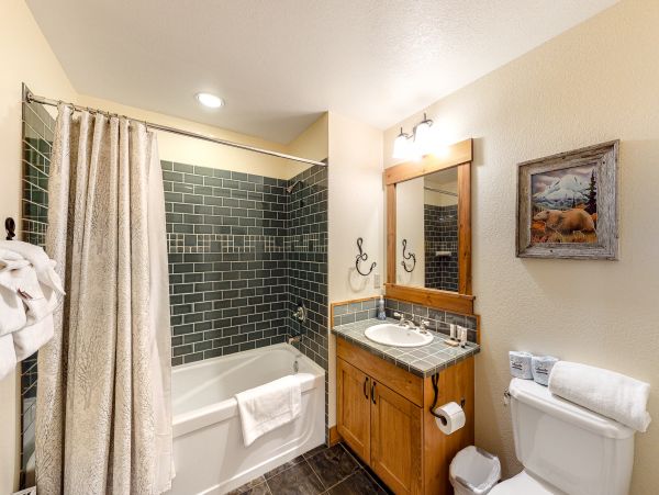 Yosemite Area Home 1029114