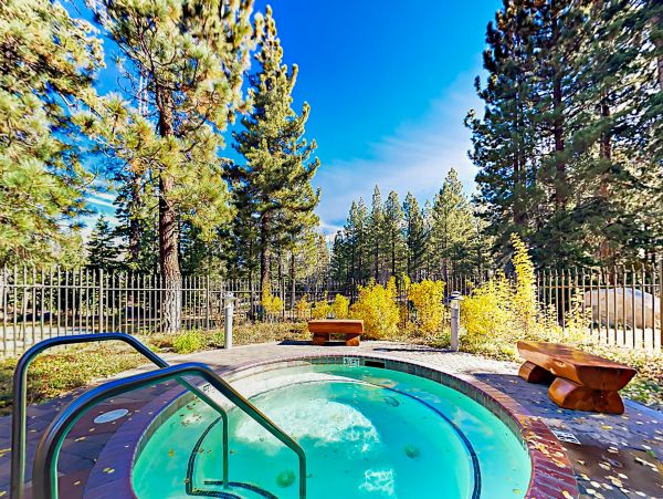 Yosemite Area Home 1029114