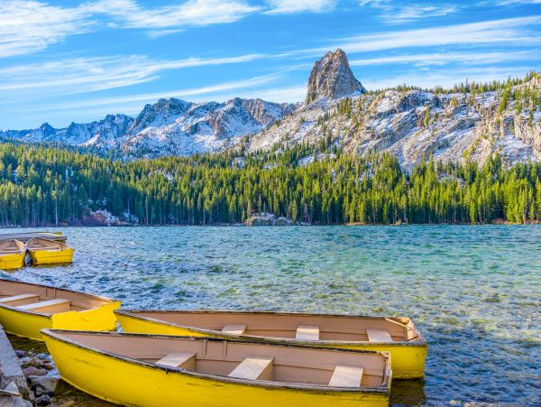 Yosemite Area Home 1029124
