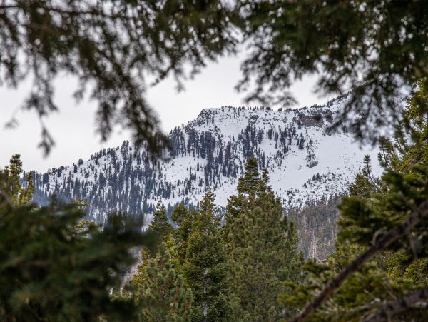 Yosemite Area Home 1029129