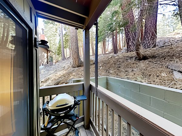 Yosemite Area Home 1029129