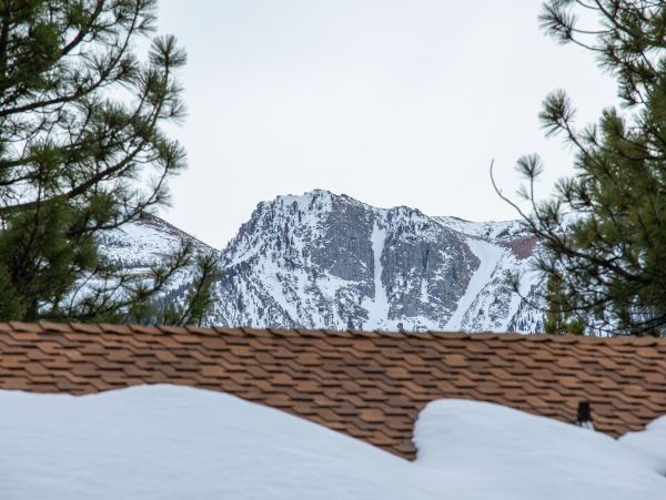 Yosemite Area Home 1029129