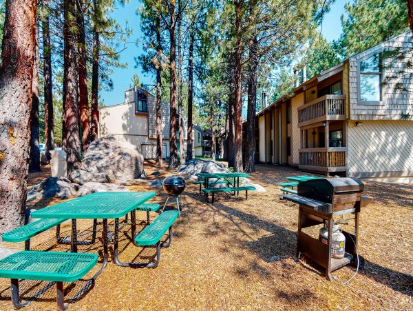 Yosemite Area Home 1029137