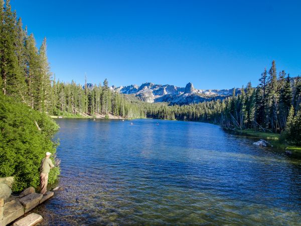 Yosemite Area Home 1029141