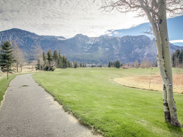 Yosemite Area Home 1029141