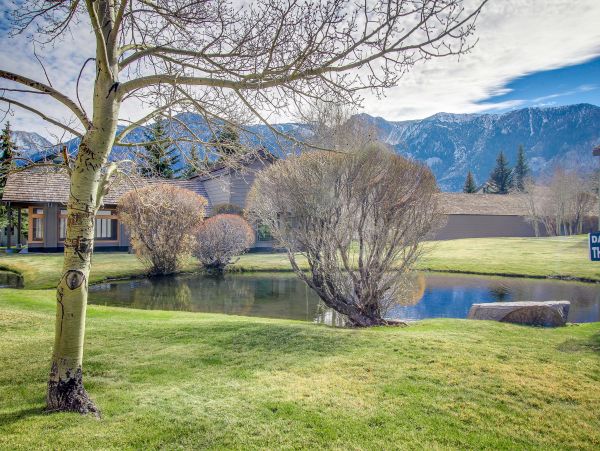 Yosemite Area Home 1029141