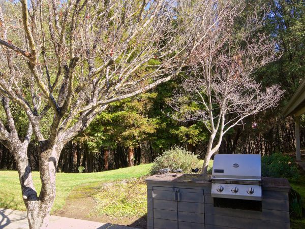 Yosemite Area Home 1029145