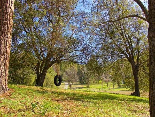 Yosemite Area Home 1029145