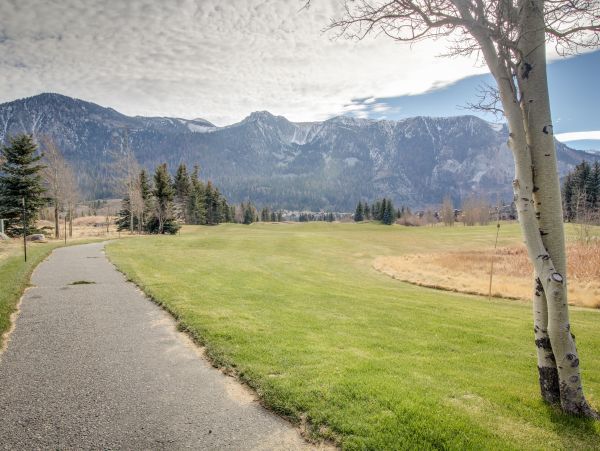 Yosemite Area Home 1029148
