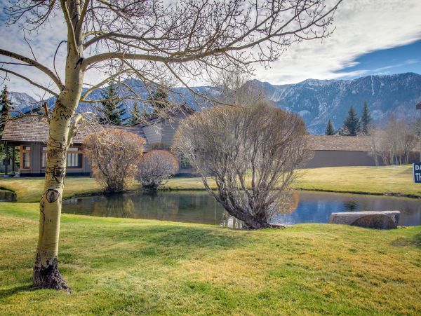Yosemite Area Home 1029148