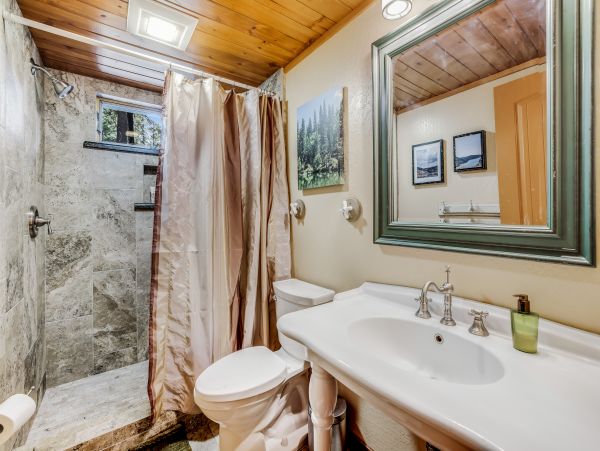 Yosemite Area Home 1029152