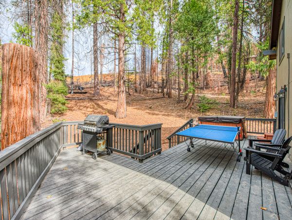 Yosemite Area Home 1029155