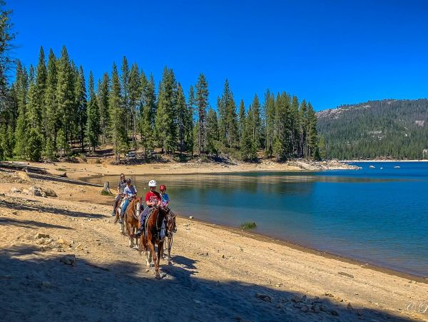 Yosemite Area Home 1029155