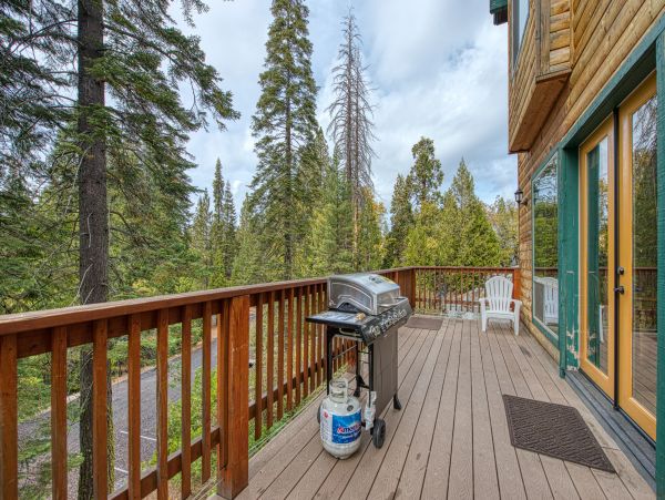 Yosemite Area Home 1029156