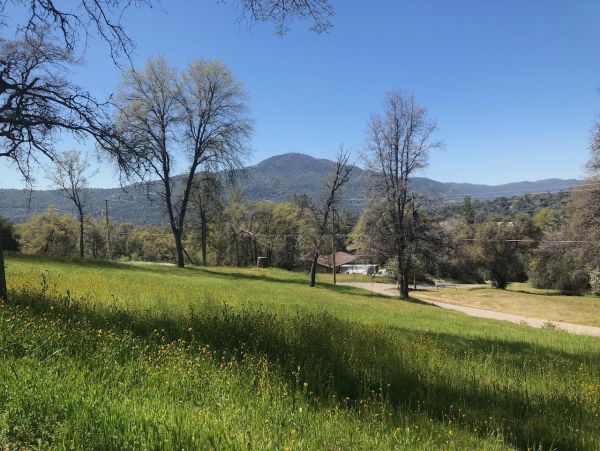 Yosemite Area Home 1029157