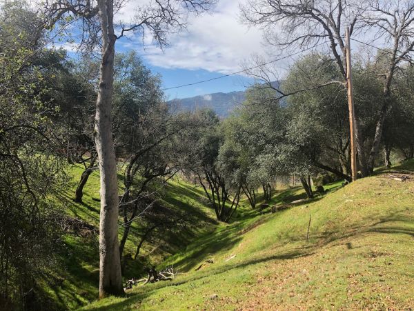 Yosemite Area Home 1029157