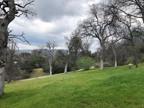Yosemite Area Home 1029157
