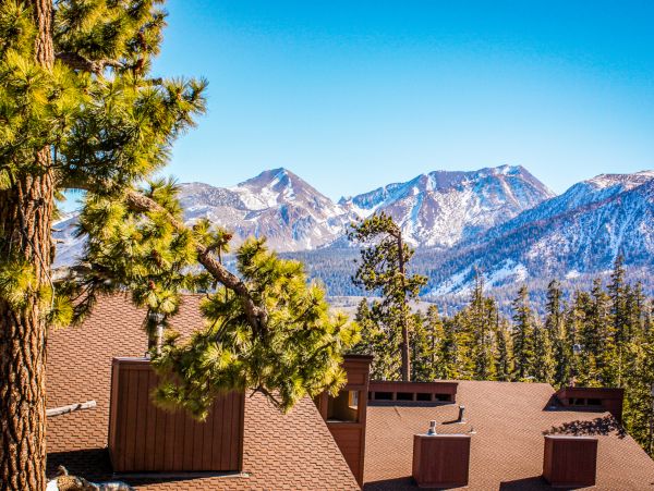 Yosemite Area Home 1029168